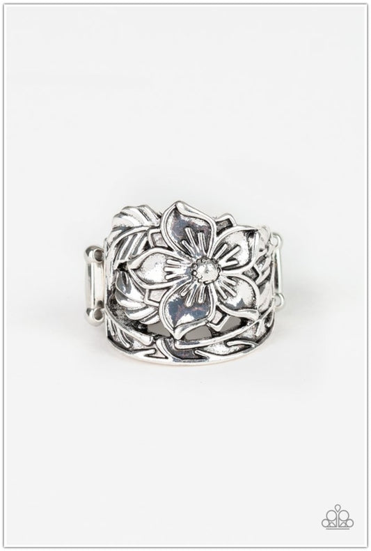 Hibiscus Highland - Silver